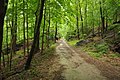 Old Croton Aqueduct Trail