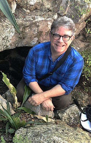 <span class="mw-page-title-main">David Stuart (Mayanist)</span> American archeologist (born 1965)