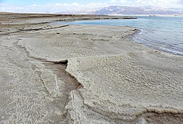 Соляні корки на берегах Мертвого моря