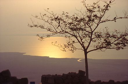 Dead Sea in the morning, seen from Masada