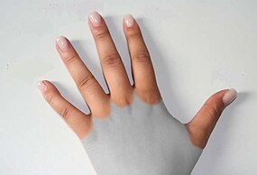 Dedos de la mano (no labels).jpg