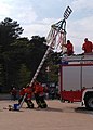 Der Maibaum mit Wappen und bunten Bändern wird in Zempin auf Usedom von der Freiwilligen Feuerwehr aufgestellt