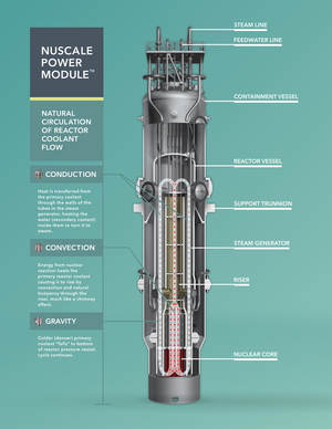 A diagram of a NuScale small modular reactor (SMR). Diagram of a NuScale reactor.png