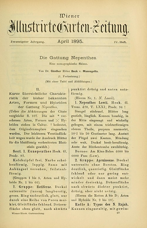 Image: Die Gattung Nepenthes (page 141)