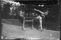 Donald R. Jacob hurdle jumping 1923 (3190768771).jpg