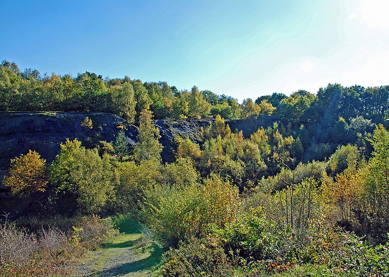 File:Doultons Clay Pit - geograph.org.uk - 2134417.jpg