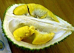 Tasty durians