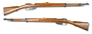 Dutch Mannlicher M1895 rifle noBG.png