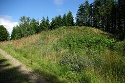 Gravhög i Stenbjerg Plantage.