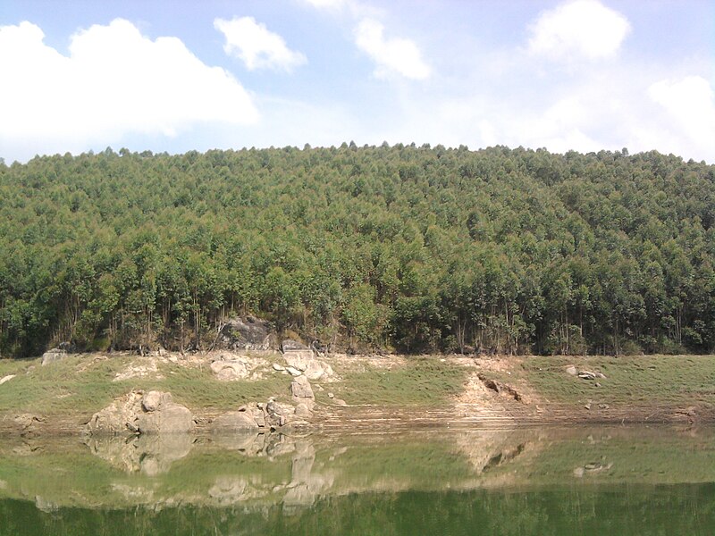 File:Echo Point, Munnar.jpg