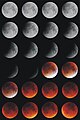 The stages of the September 2015 Lunar eclipse from Staffordshire, United Kingdom