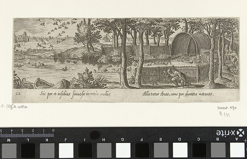 File:Eendenjacht met net Jacht en visvangst (serietitel) Venationes, Piscationes et Aucupii Typi (serietitel), RP-P-1886-A-10831.jpg