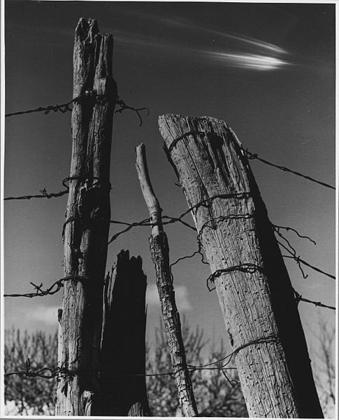 File:El Cerrito, San Miguel County, New Mexico. Details of walls and fences. - NARA - 521166.jpg