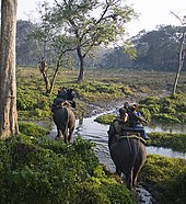 The Jaldapara National Park in West Bengal, India, is a Habitat Management Area (Category IV). Elephant safari.jpg