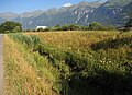 Entenbächli, Verbindung von der Jägglisglunte zum Brienzersee