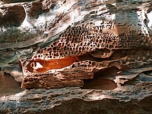 Erosion af sandsten i L'Erbsenfelsen