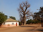 6. … i Guinea-Bissau.