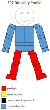 Functional profile of a wheelchair sportsperson in the F7 class. F7 SP7 disability sports profile.png