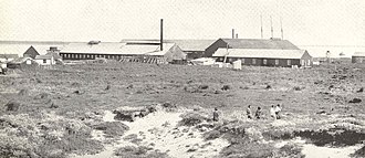 View of Point Roberts Packing Company canning plant FMIB 40732 Canning Plant of Point Roberts Packing Company (APA), Koggiung, Kvichak Bay View from sand dune to southwest.jpeg