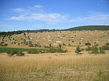 FR-48-Causse de Sauveterre7.JPG