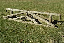 A Faux (False) Trakehner Faux Trakehner.jpg