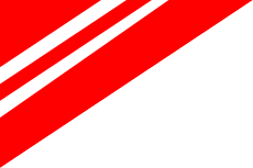Flag of Chotenov.svg