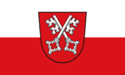 Flag of Regensburg.png