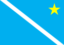 Tacuru – Bandiera