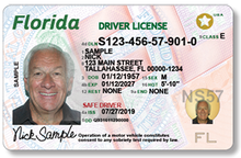 Florida Driver License.