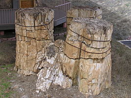 Florissant Fossil Beds National Monument PA272515.jpg