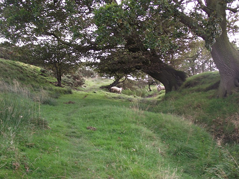 File:Footpath to Wiswell Moor - geograph.org.uk - 2612309.jpg