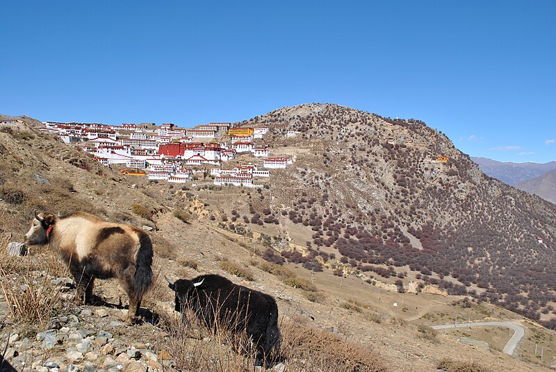 File:Ganden monastery, 2013.jpg