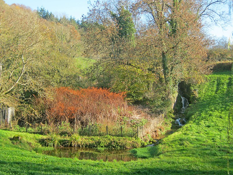 File:Garden opposite The Elms - geograph.org.uk - 2165973.jpg