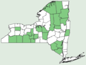 Goodyera repens NY-dist-map.png