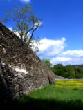 Grünhain Klostermauer.jpg