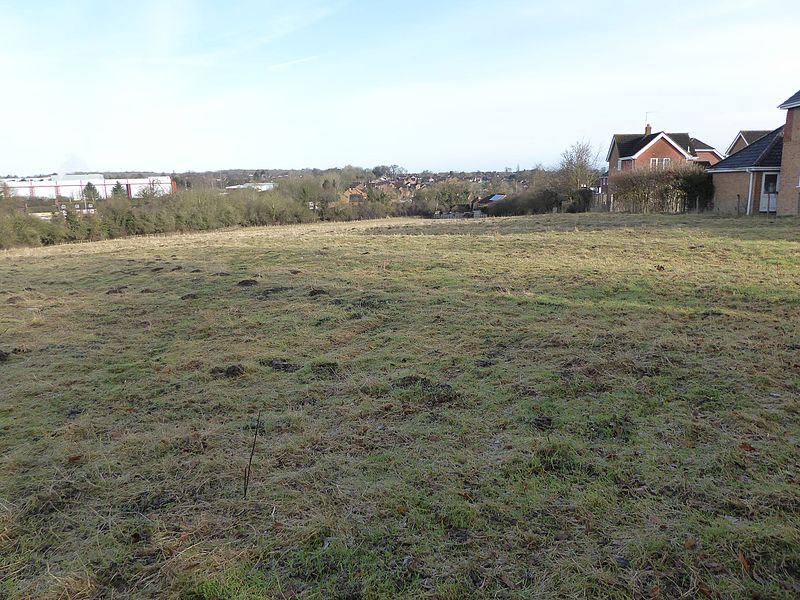 File:Great Oakley Meadow 1.jpg