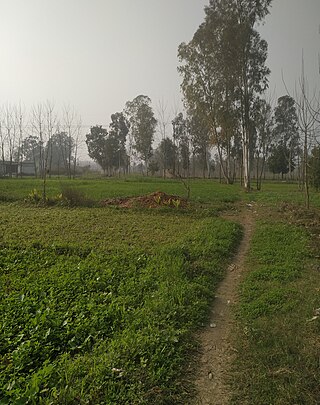 <span class="mw-page-title-main">Salempur Rajputana</span> Place