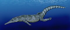 Guarinisuchus munizi.jpg