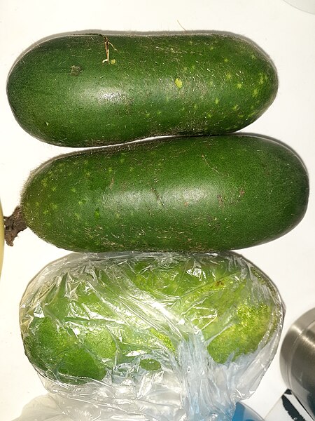 File:HK food green vegetable 蔬菜 毛瓜 hairy gourd July 2021 SS2 02.jpg