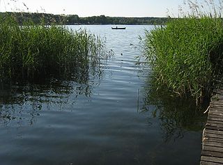 Woblitzsee lake in Mecklenburgische Seenplatte District, Mecklenburg-Vorpommern, Germany