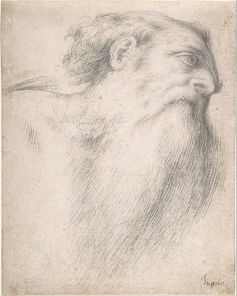 File:Head of a Bearded Man MET DP810264.jpg