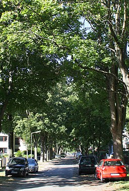 Glaskrautstraße in Berlin