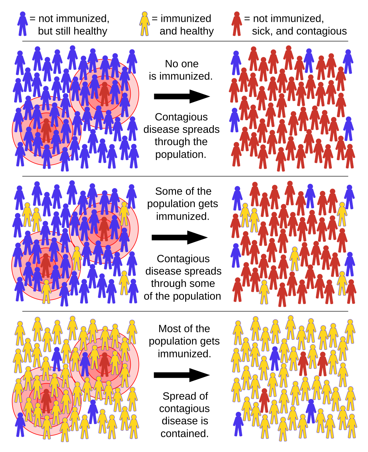 Image result for herd immunity