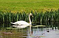 Hever Castle and Gardens, Kent, England