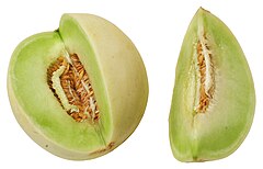 Description de l'image Honeydew.jpg.