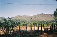 Fields in Horanadu Hornad fields.JPG