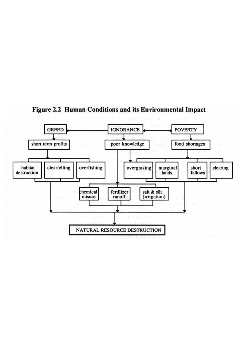 File:Human Conditions and its Environmental Impact.pdf