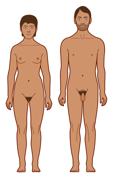 File:Human body features.svg
