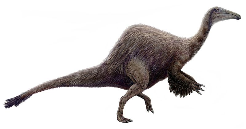 Fișier:Hypothetical Deinocheirus (flipped).jpg