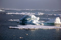 Ice in the East Siberian Sea (RAS NOAA RUSALCA 2009).jpg